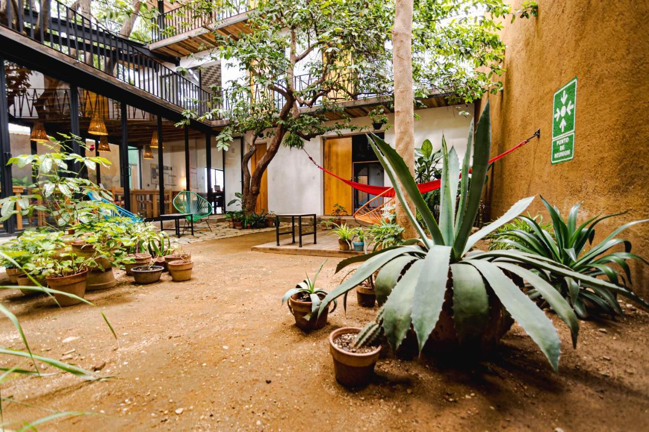 Hotel Con Corazon Oaxaca Kültér fotó