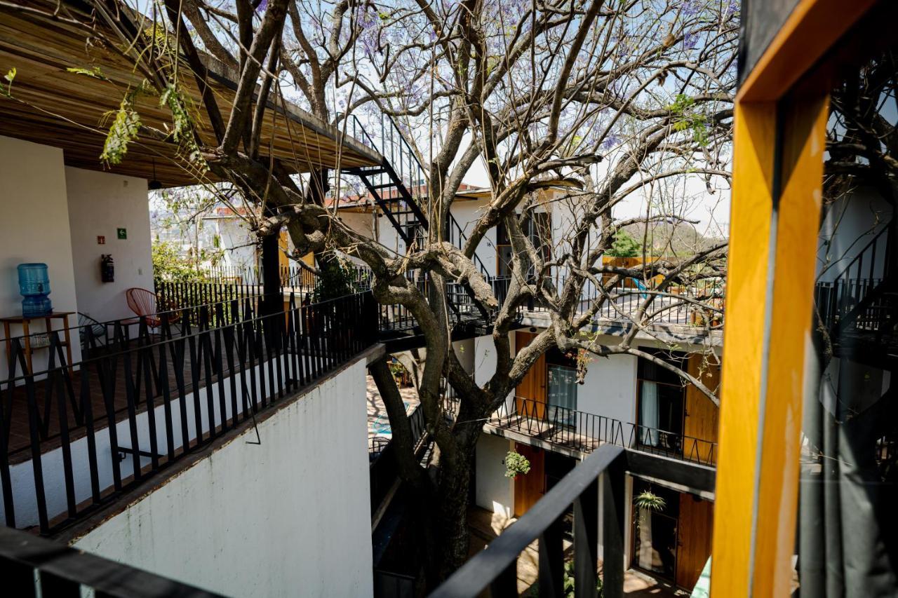Hotel Con Corazon Oaxaca Kültér fotó